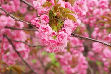 常州天宁区9线下个人借款平台一站式服务，轻松解决资金难题
