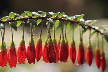 常州天宁区9零用贷短借：轻松解决临时资金需求