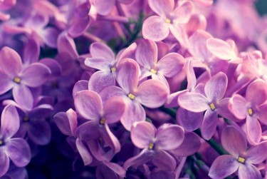 常州天宁区9企业急用钱贷款攻略：快速融资解燃眉之急